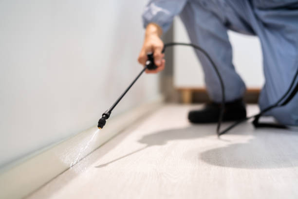 Licensed Pest Control service in Lowell, OR - Show Me Pest Control