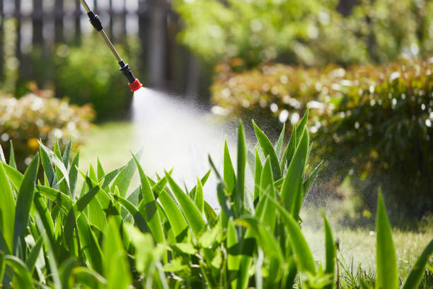 24/7 Emergency Mosquito Control experts in Lowell, OR